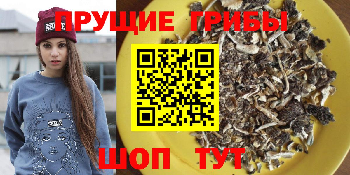Псилоцибиновые грибы Cubensis  Вход с VPN  Нурлат 