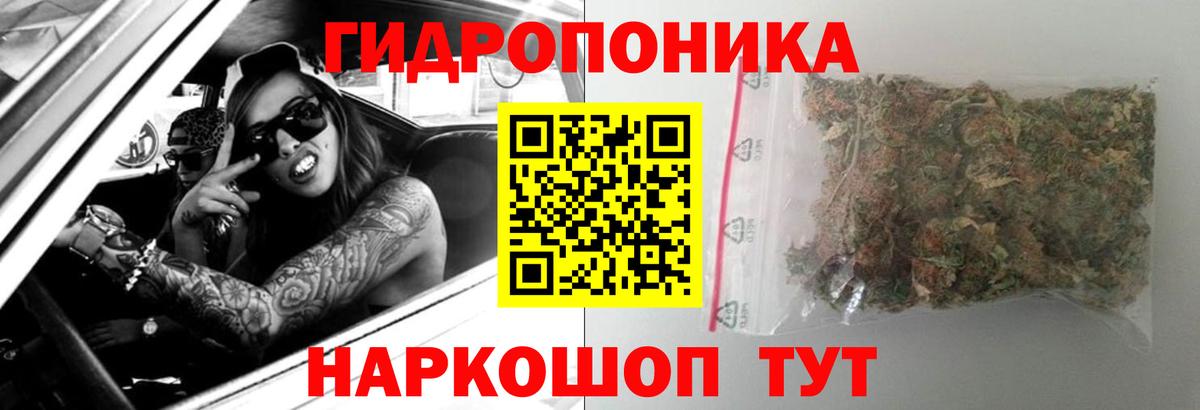 МАРИХУАНА сатива Нурлат
