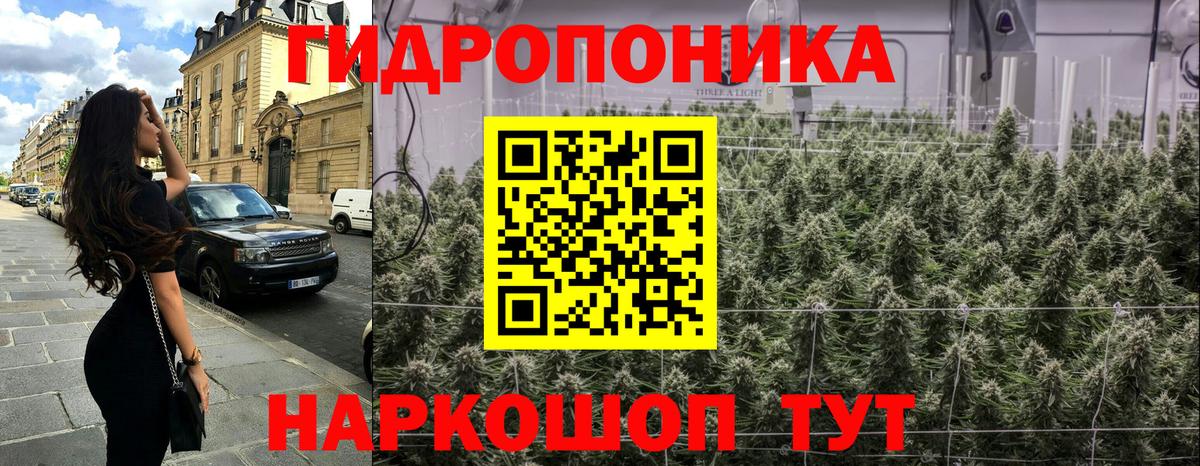 Каннабис Ganja  МАРИХУАНА планчик  Нурлат  Вход с VPN  Марихуана Amnesia 